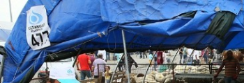 İstanbullular Sultangazi Kurban Satış ve Kesim Merkezi'ne Akın Etti