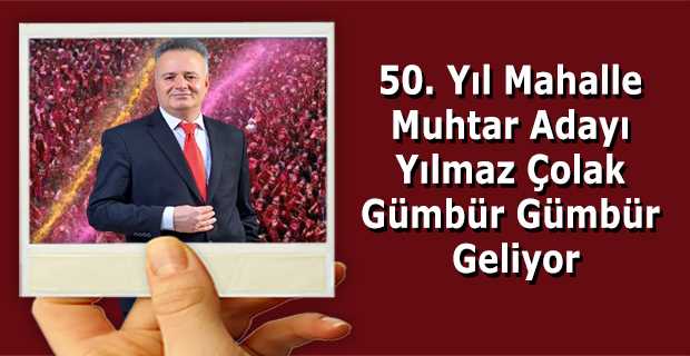 50. Yıl Mahalle Muhtar Adayı Yılmaz Çolak, Gümbür Gümbür Geliyor