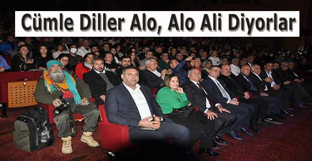 Cümle Diller Alo, Alo, Ali Diyorlar