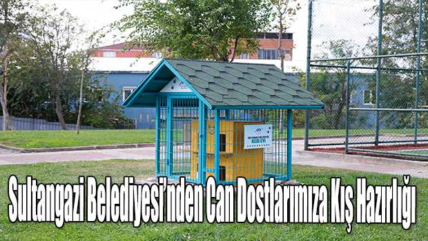 Sultangazi Belediyesi'nden Can Dostlarımıza Kış Hazırlığı