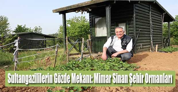 Sultangazililerin Gözde Mekanı: Mimar Sinan Şehir Ormanları 